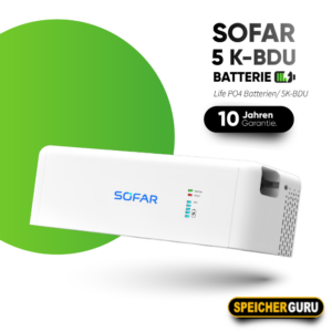 SOFAR BTS 5K-BDU Kontrolmodul
