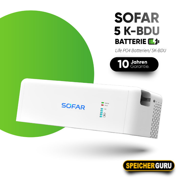 SOFAR BTS 5K-BDU Kontrolmodul