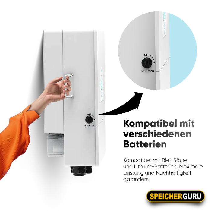 Deye Hybrid-Wechselrichter SUN-30K-SG01HP3-EU-BM3 30kW – Bild 4